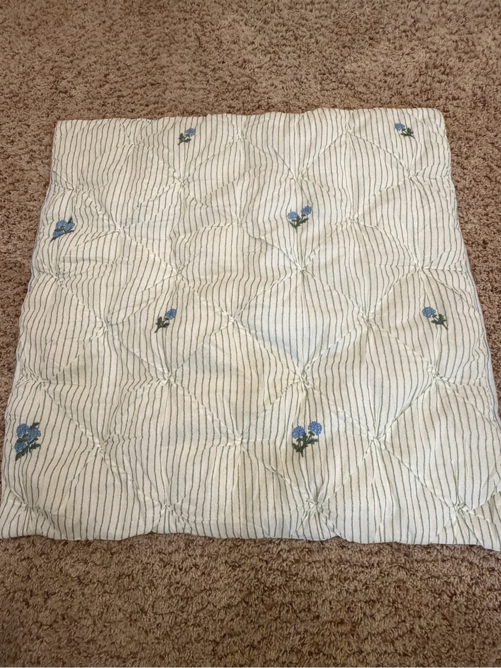 New Anthropologie Emilia Cotton Voile Floral Embroidered Euro Sham green blue - Picture 3 of 14